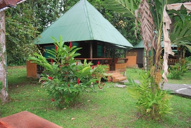 Lodge Pizote *