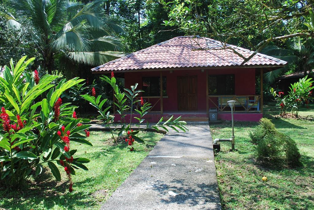 Pizote Puerto Viejo de Talamanca