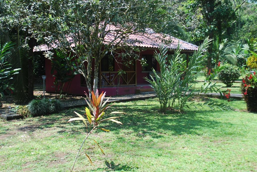 Lodge Pizote *
