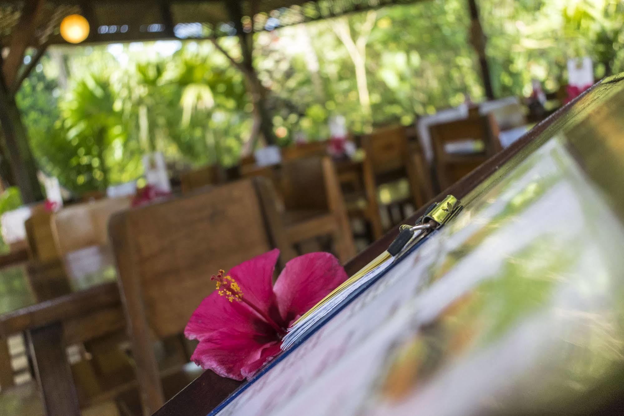 Atlantida Lodge Cahuita