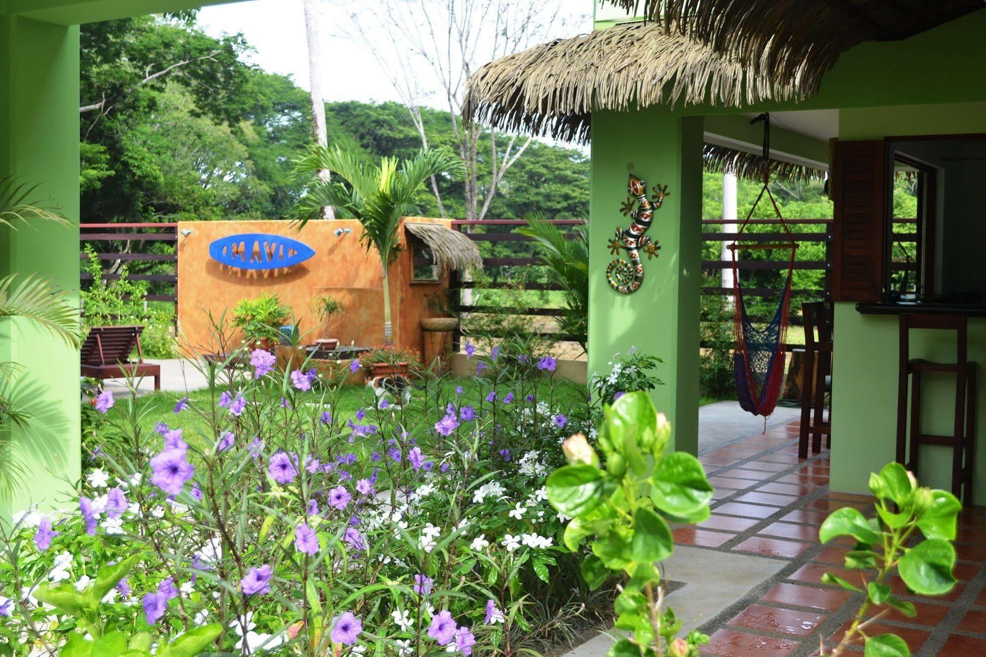 Mavi Surf 3* Dominical