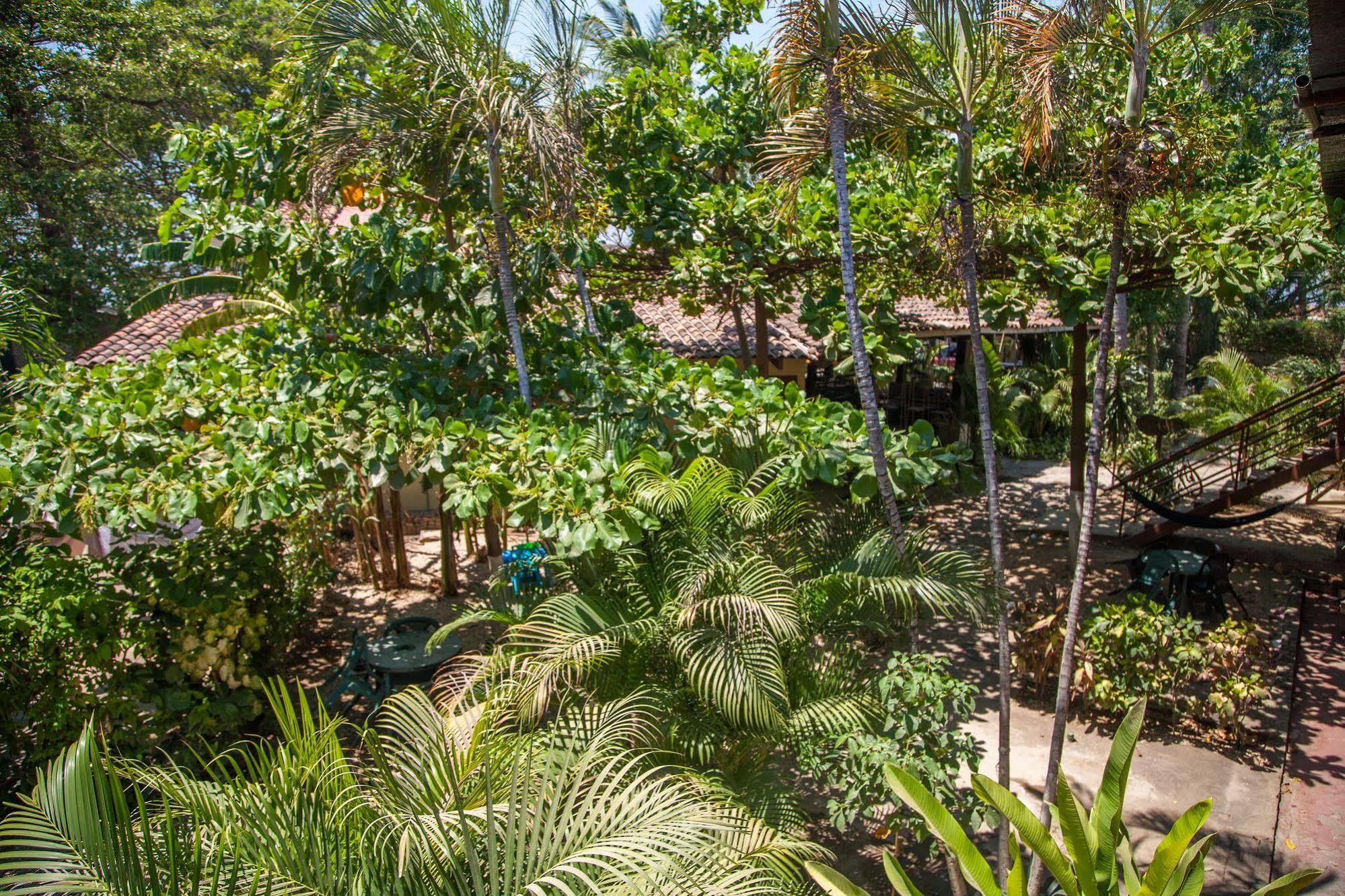 Hotel Brasilito