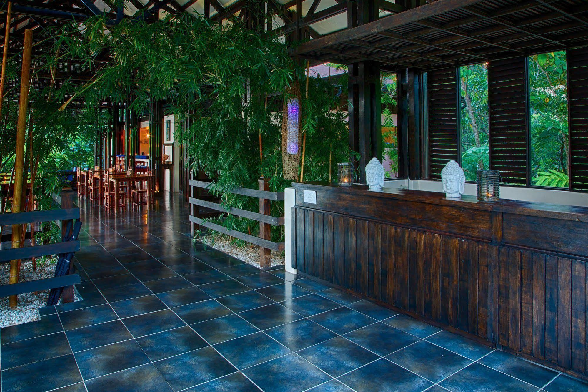 Tiki Rainforest &