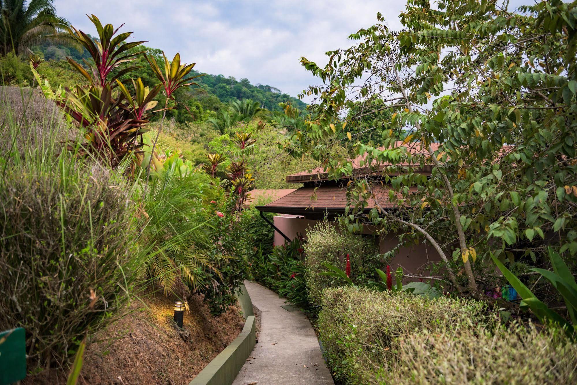 Tiki Rainforest & Hotel 3*