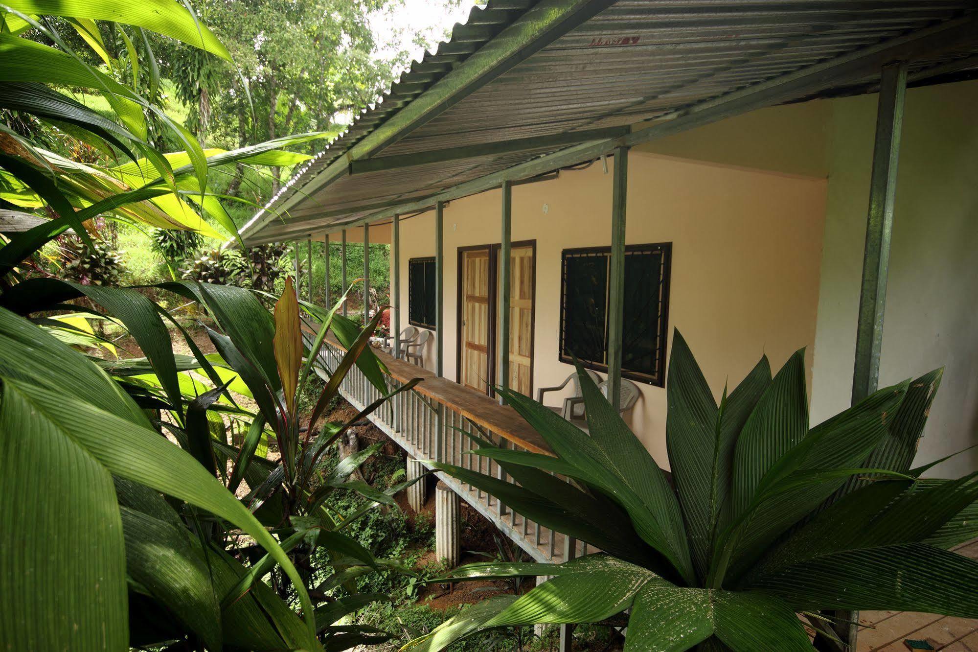 Rancho Corcovado Hotel Drake Bay