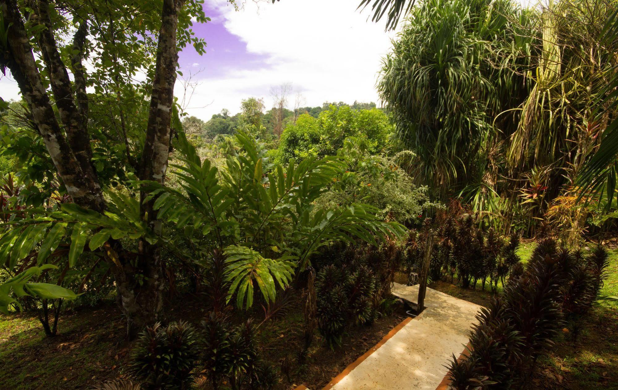 Rancho Corcovado Hotel
