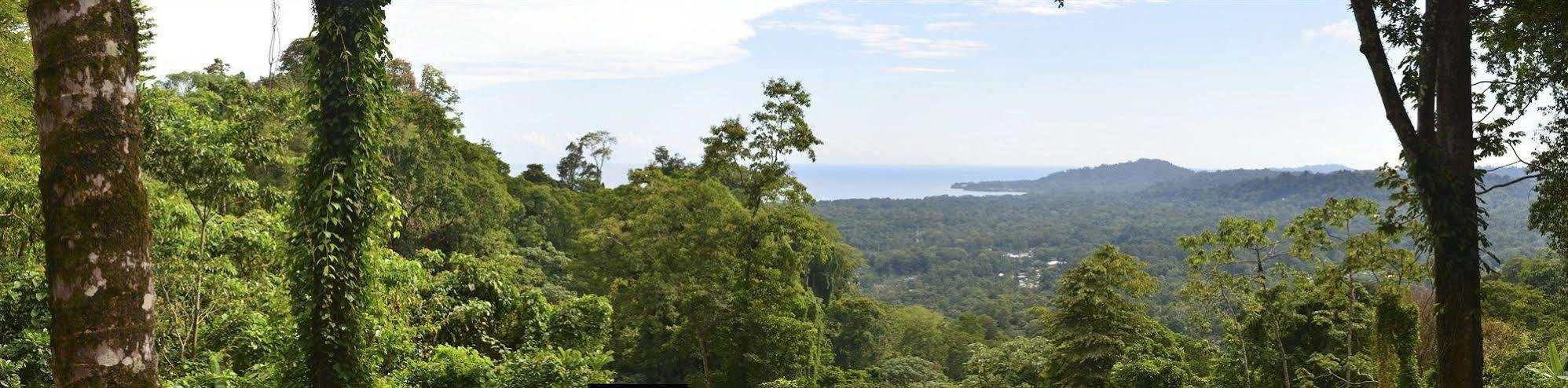 Hotel Samasati Yoga & Wellness Retreat 3*