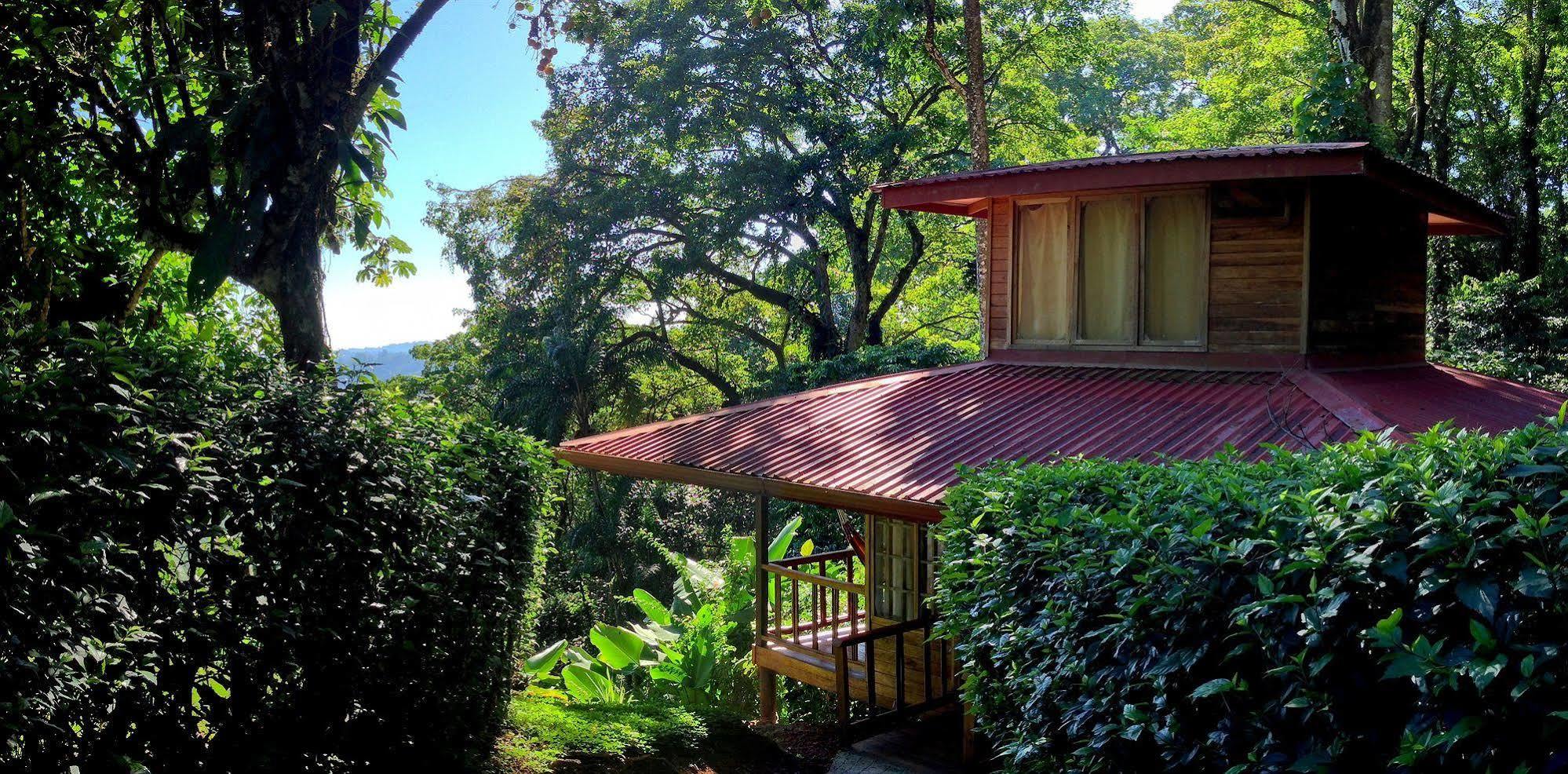 Samasati Yoga & Wellness Retreat Puerto Viejo de Talamanca