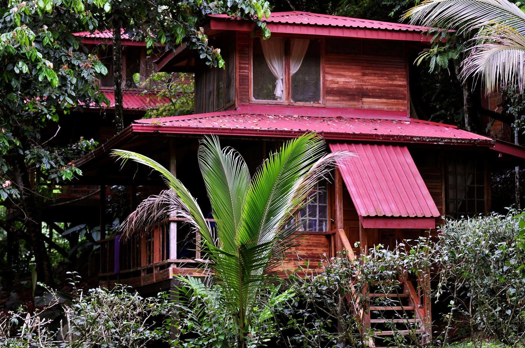 Hotel Samasati Yoga & Wellness Retreat