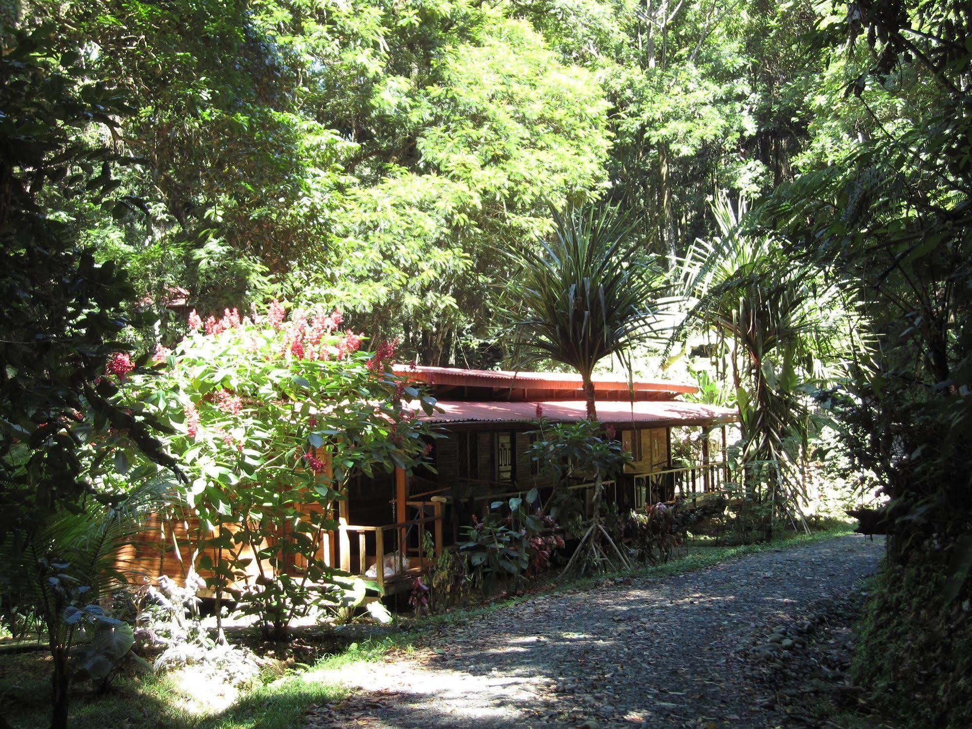 Samasati Yoga & Wellness Retreat 3*
