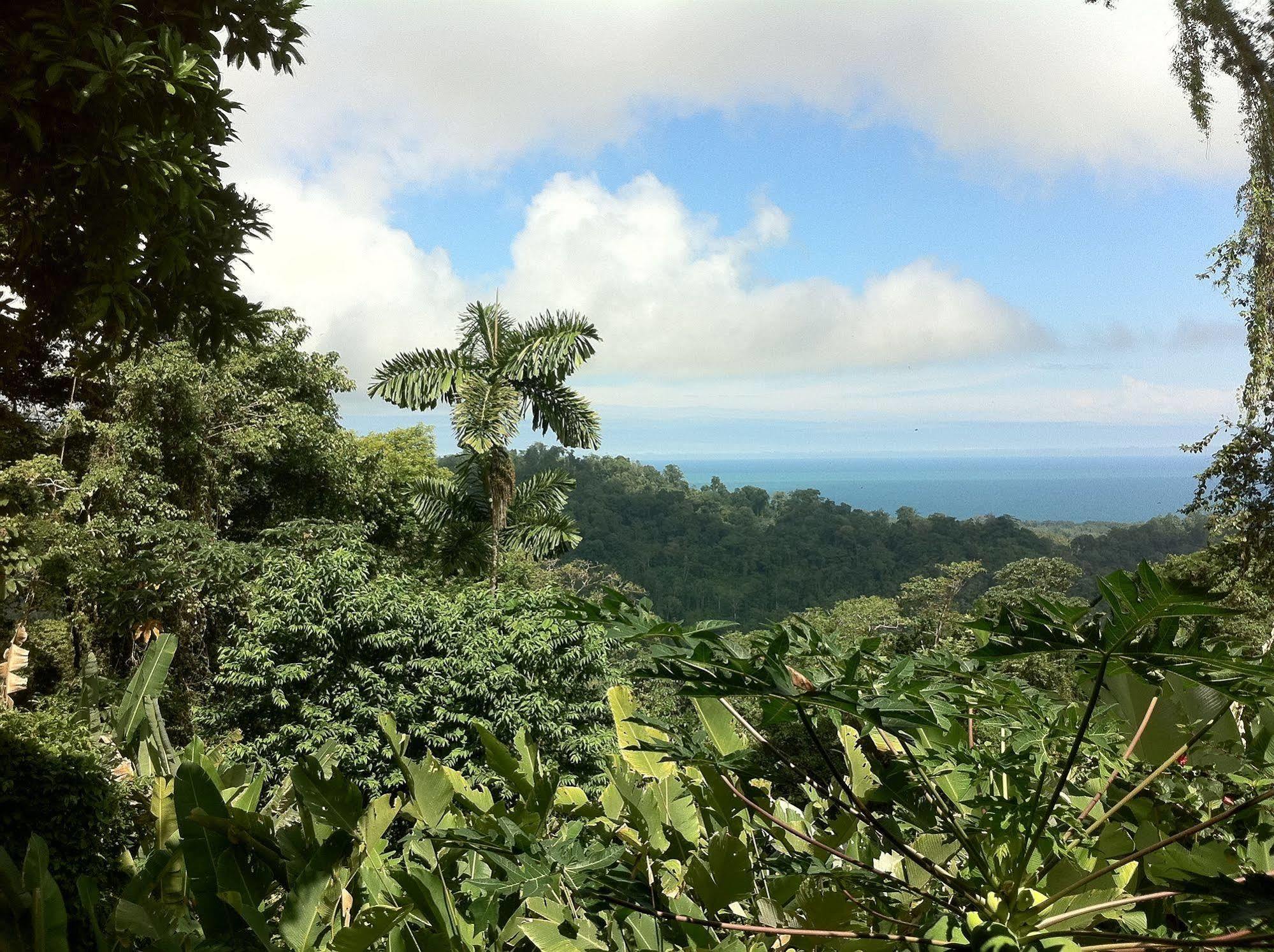 Samasati Yoga & Wellness Retreat Hotel