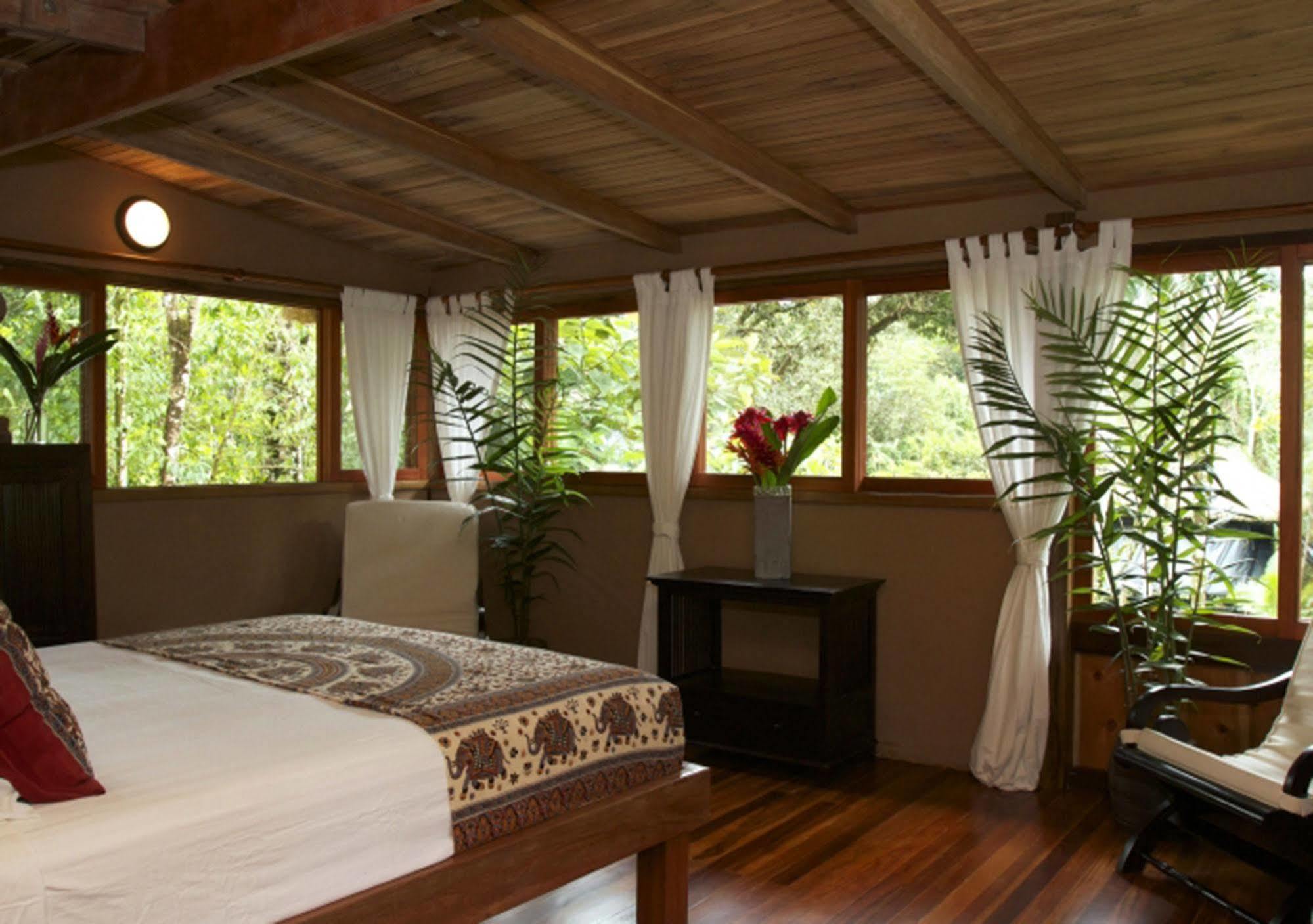 Copa De Arbol & Rainforest Drake Bay