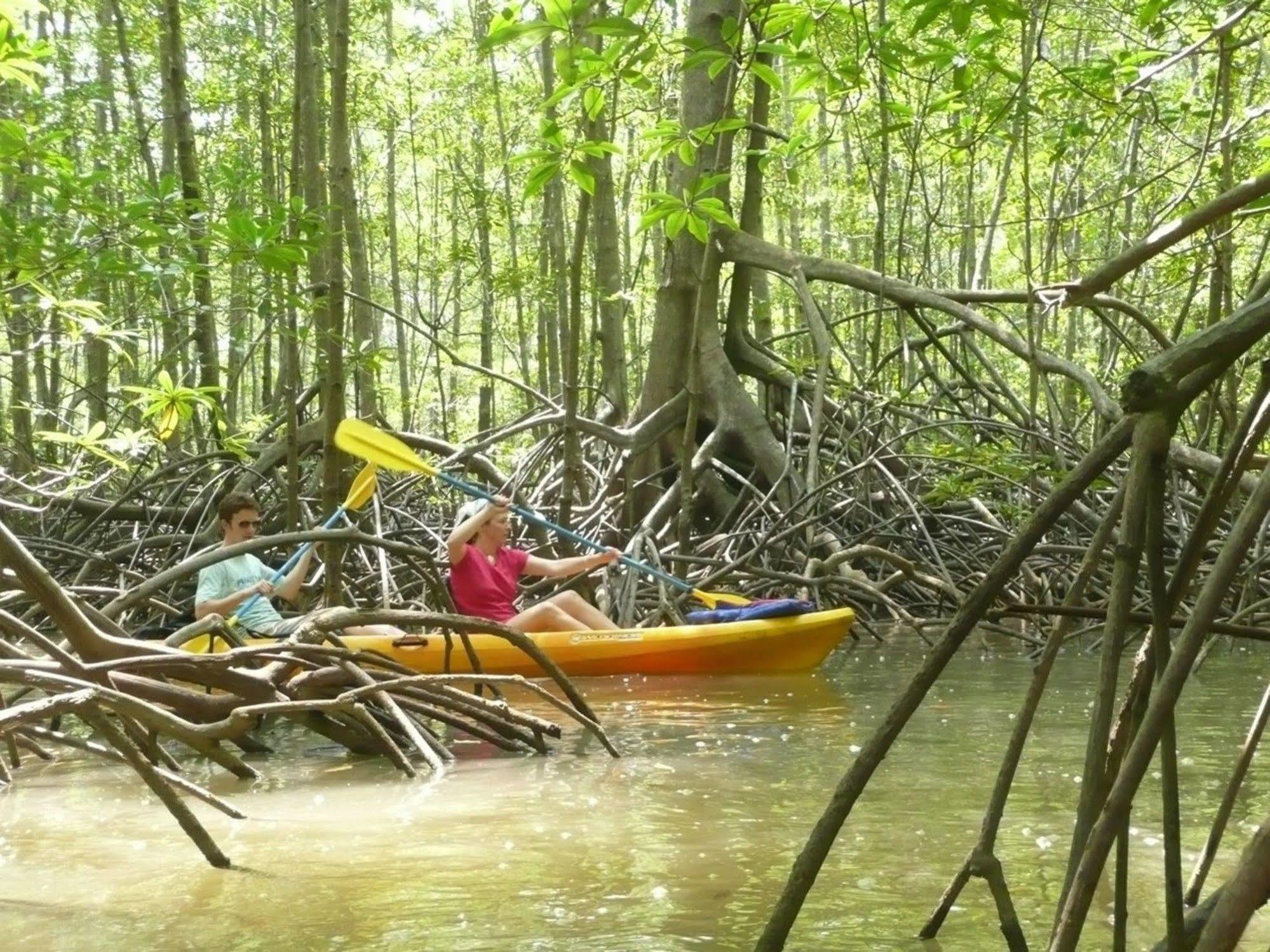Hotel Kayak