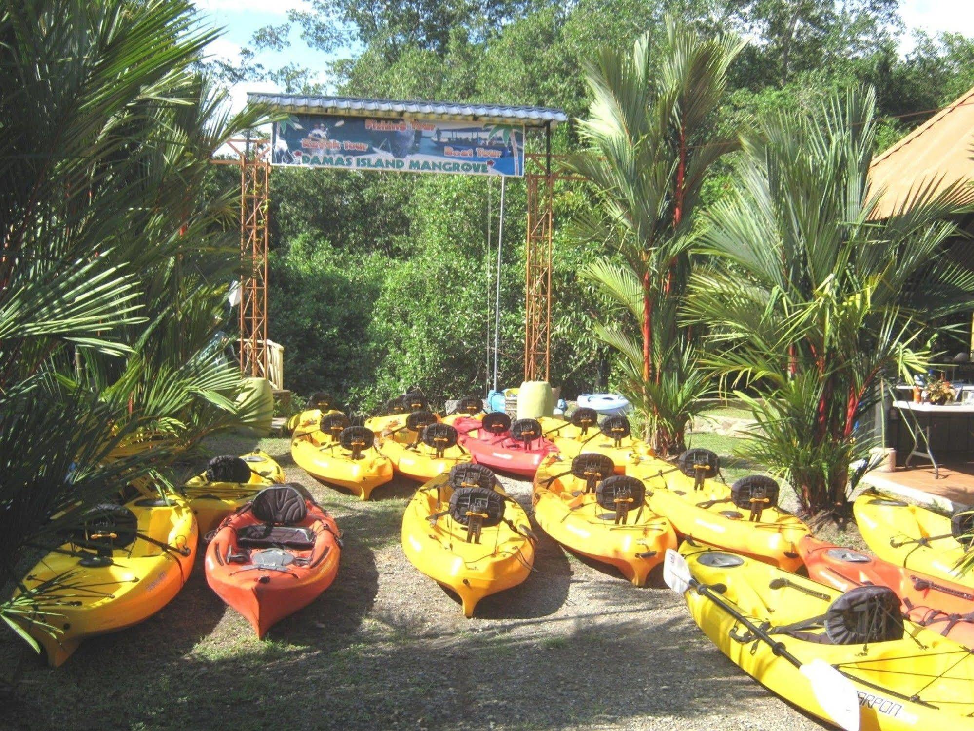 Kayak Hotel Damas