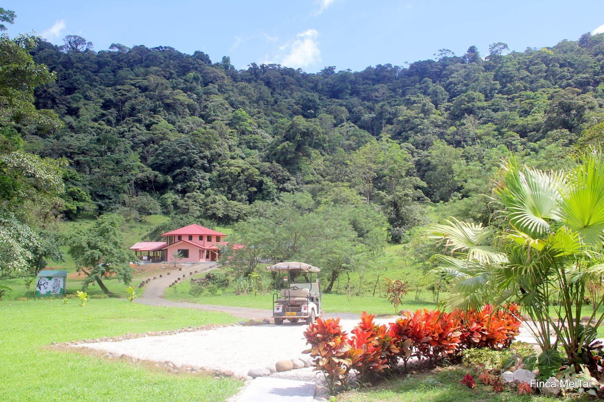 Tai Cacao