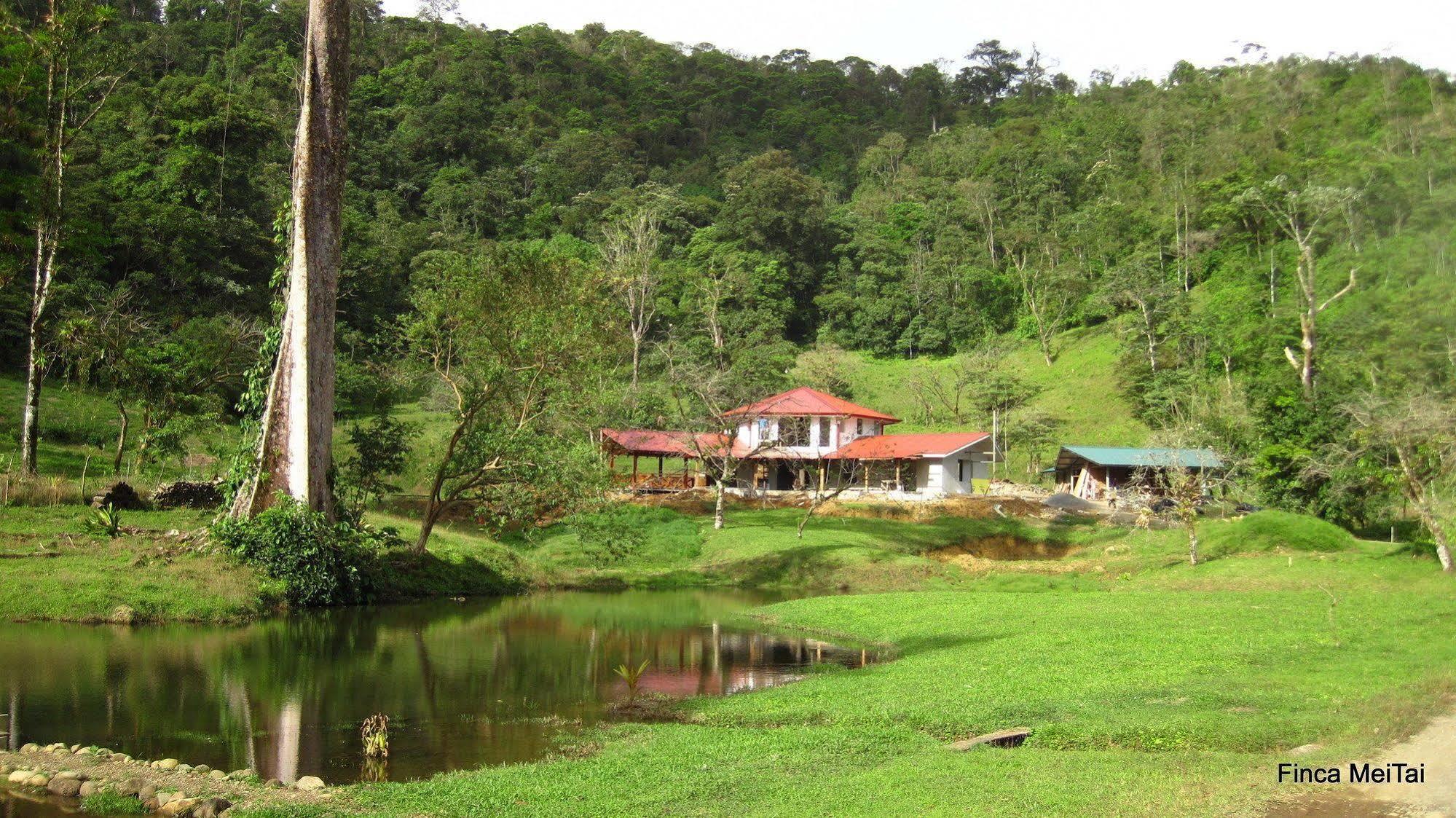 Tai Cacao 3* Bijagua