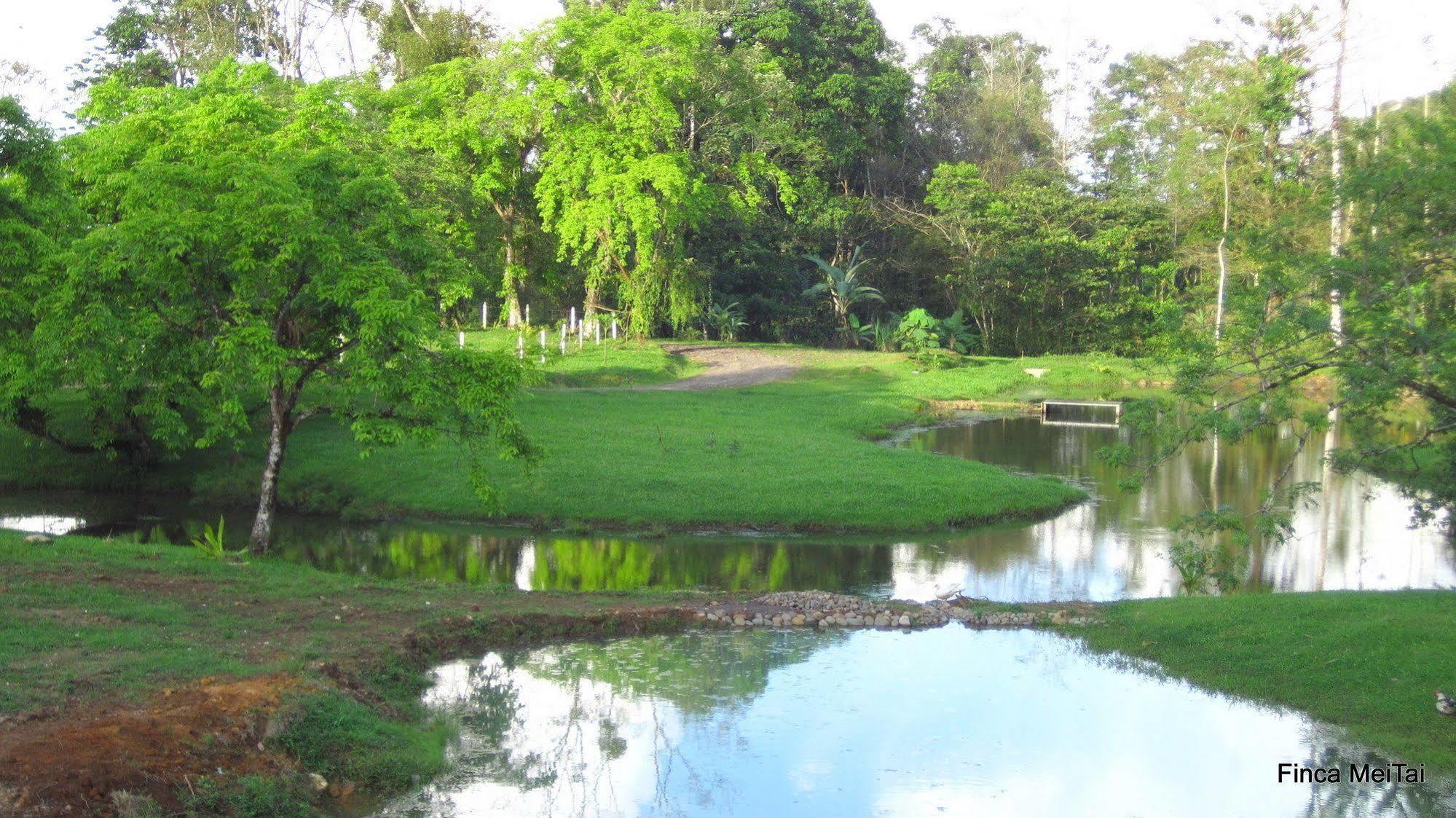 Tai Cacao Bed & Breakfast