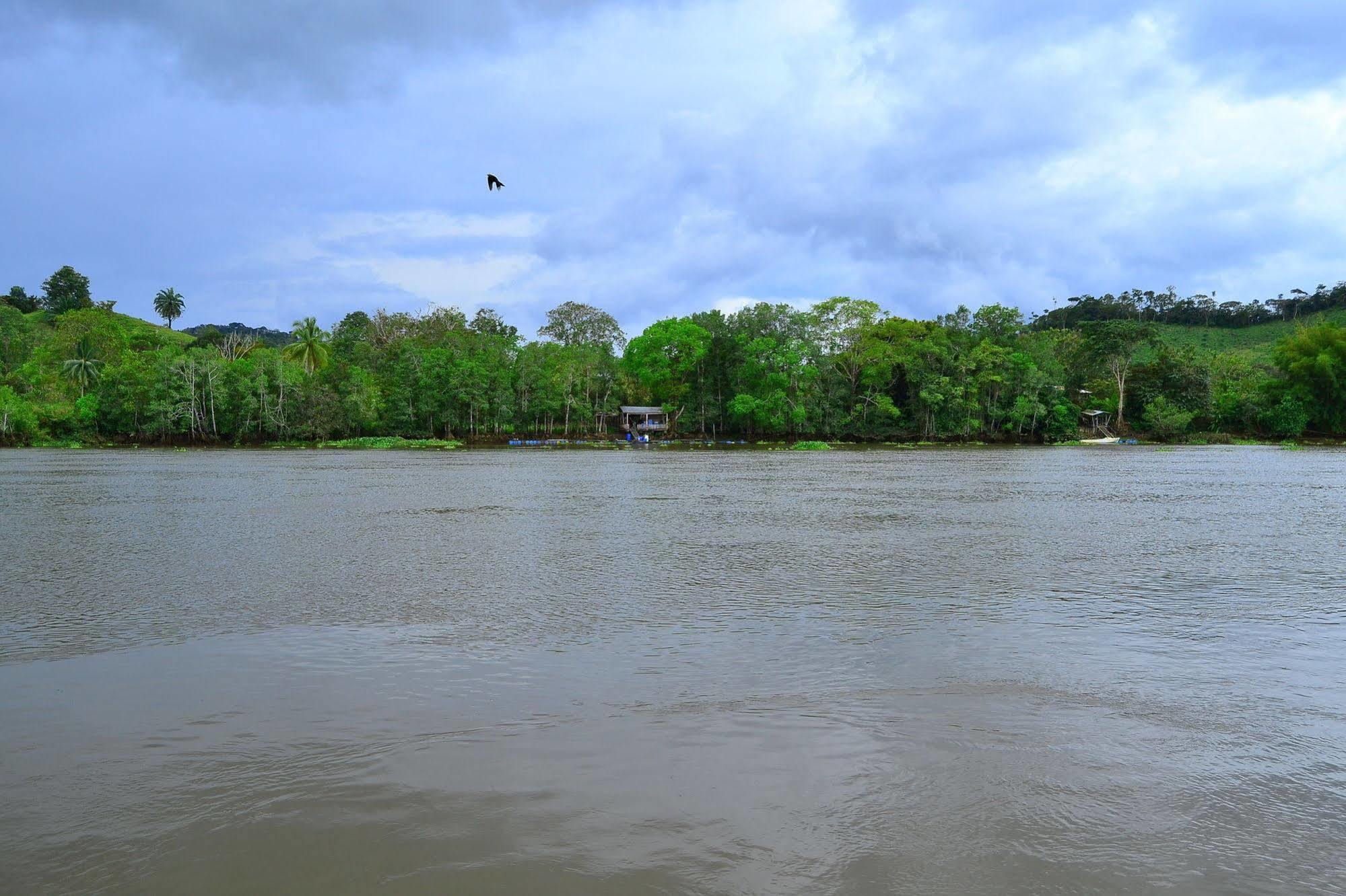 Hotel Hotel Sierpe River Sierpe