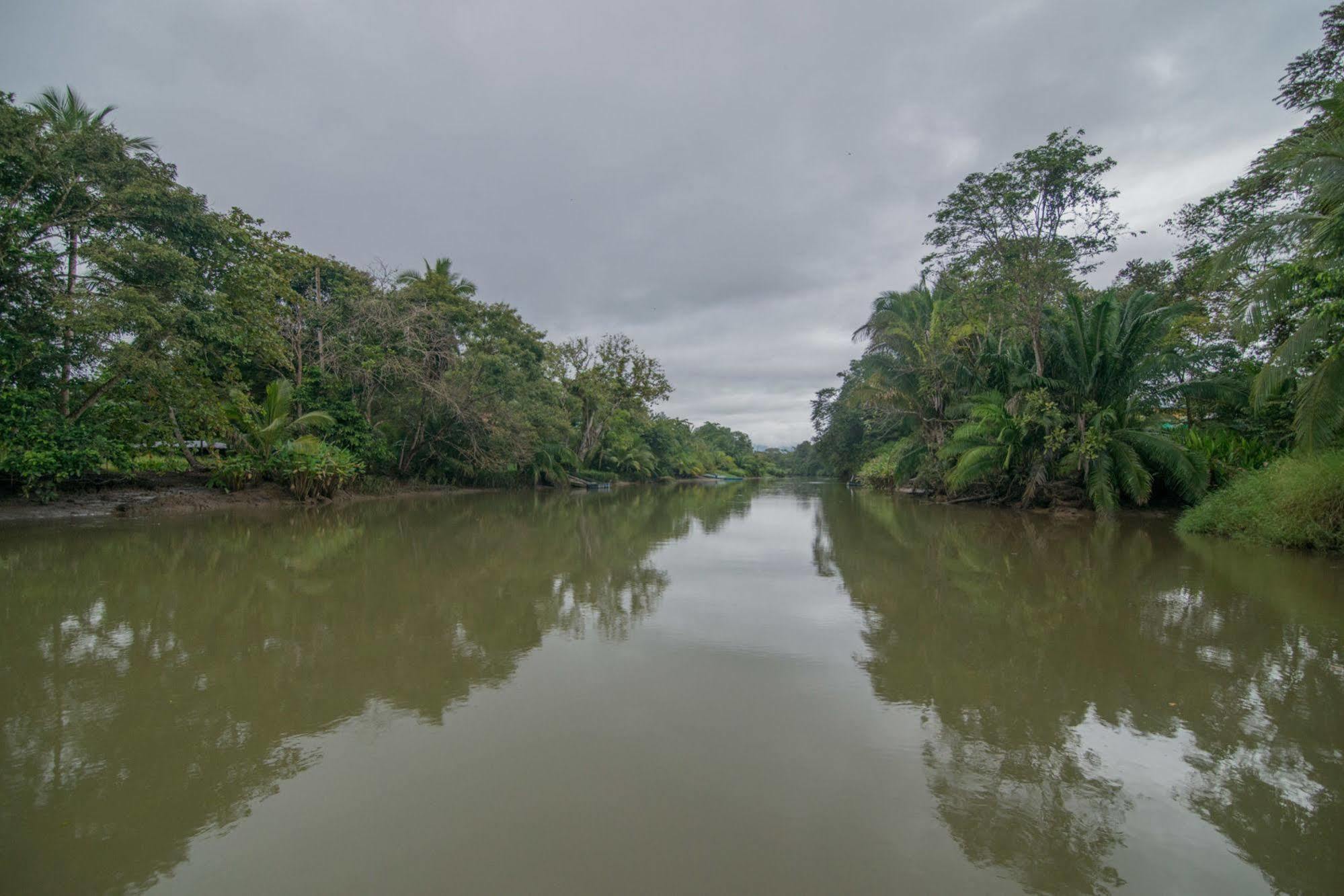 Hotel Sierpe River