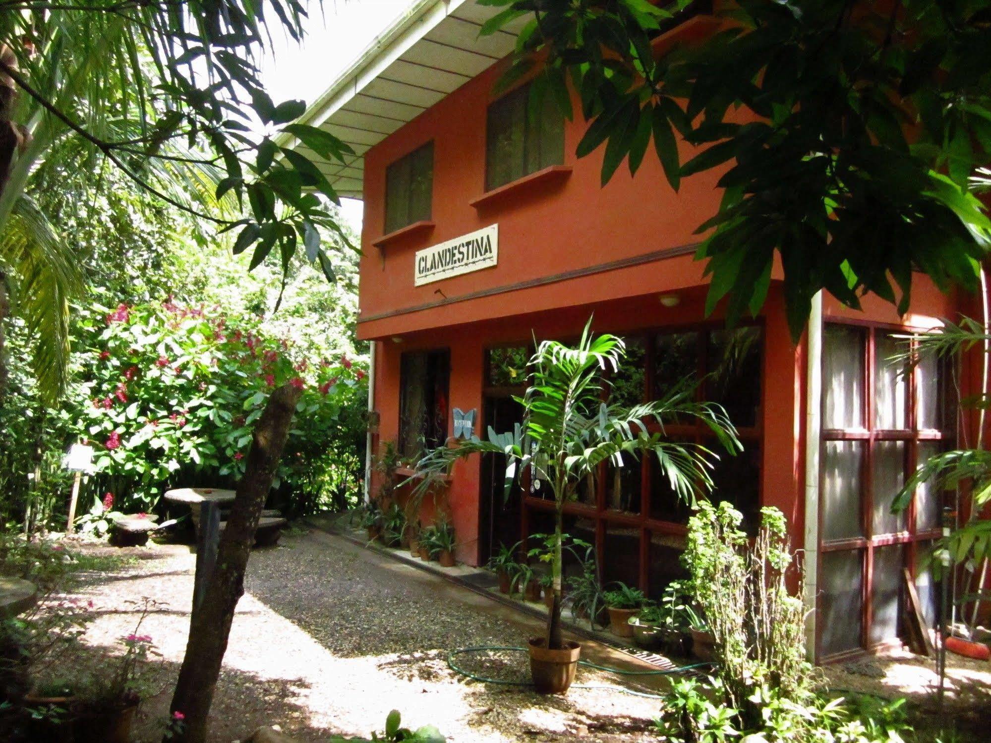 El Mariposario Gardens Bed & Breakfast