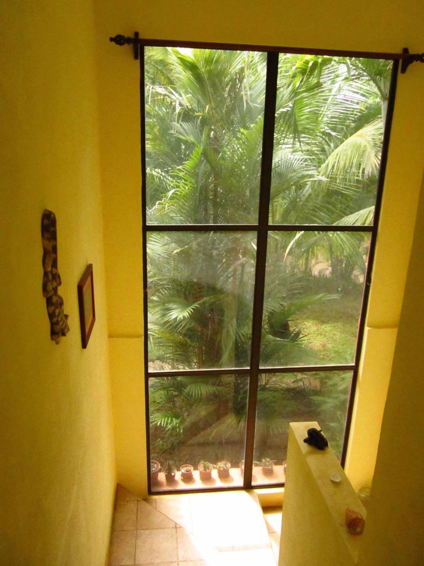 El Mariposario Gardens Bed & Breakfast Montezuma
