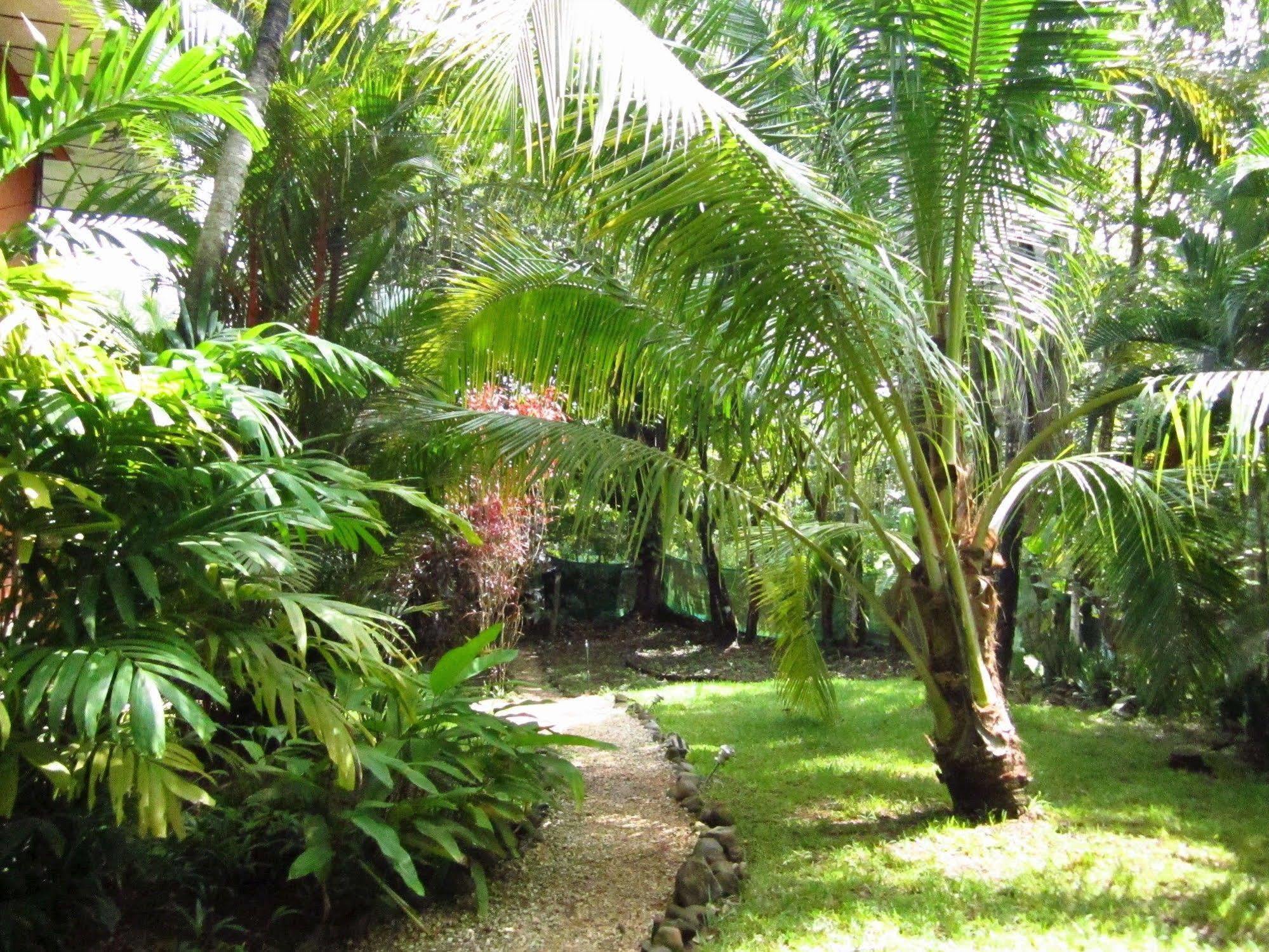 El Mariposario Gardens Montezuma