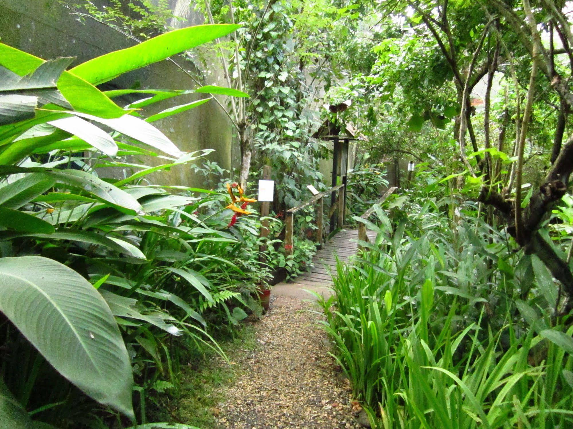 El Mariposario Gardens