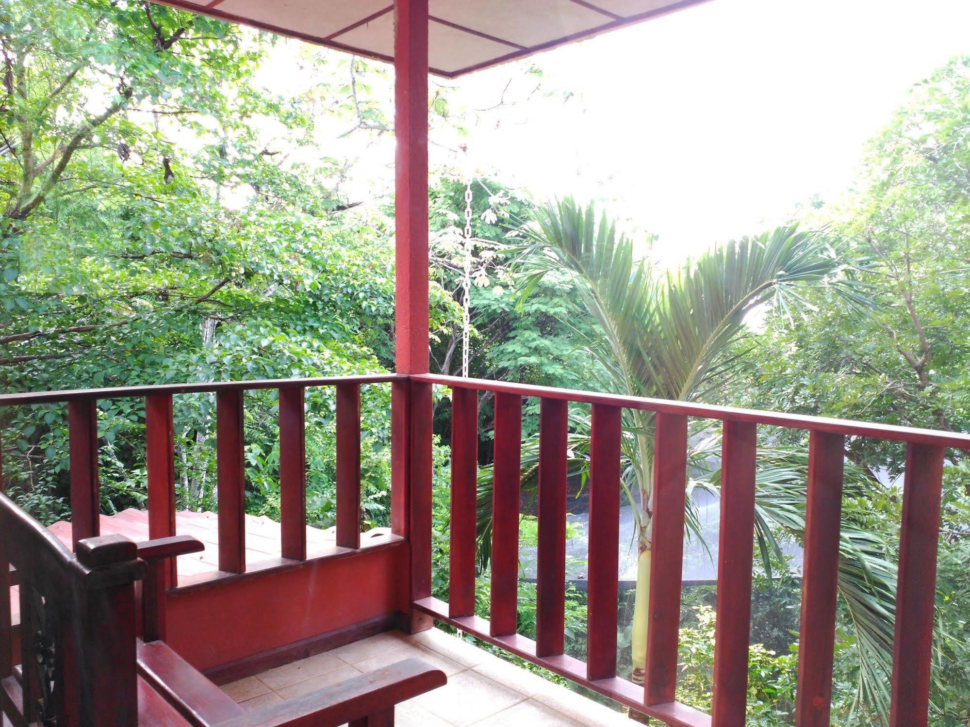 Bed & Breakfast El Mariposario Gardens Montezuma