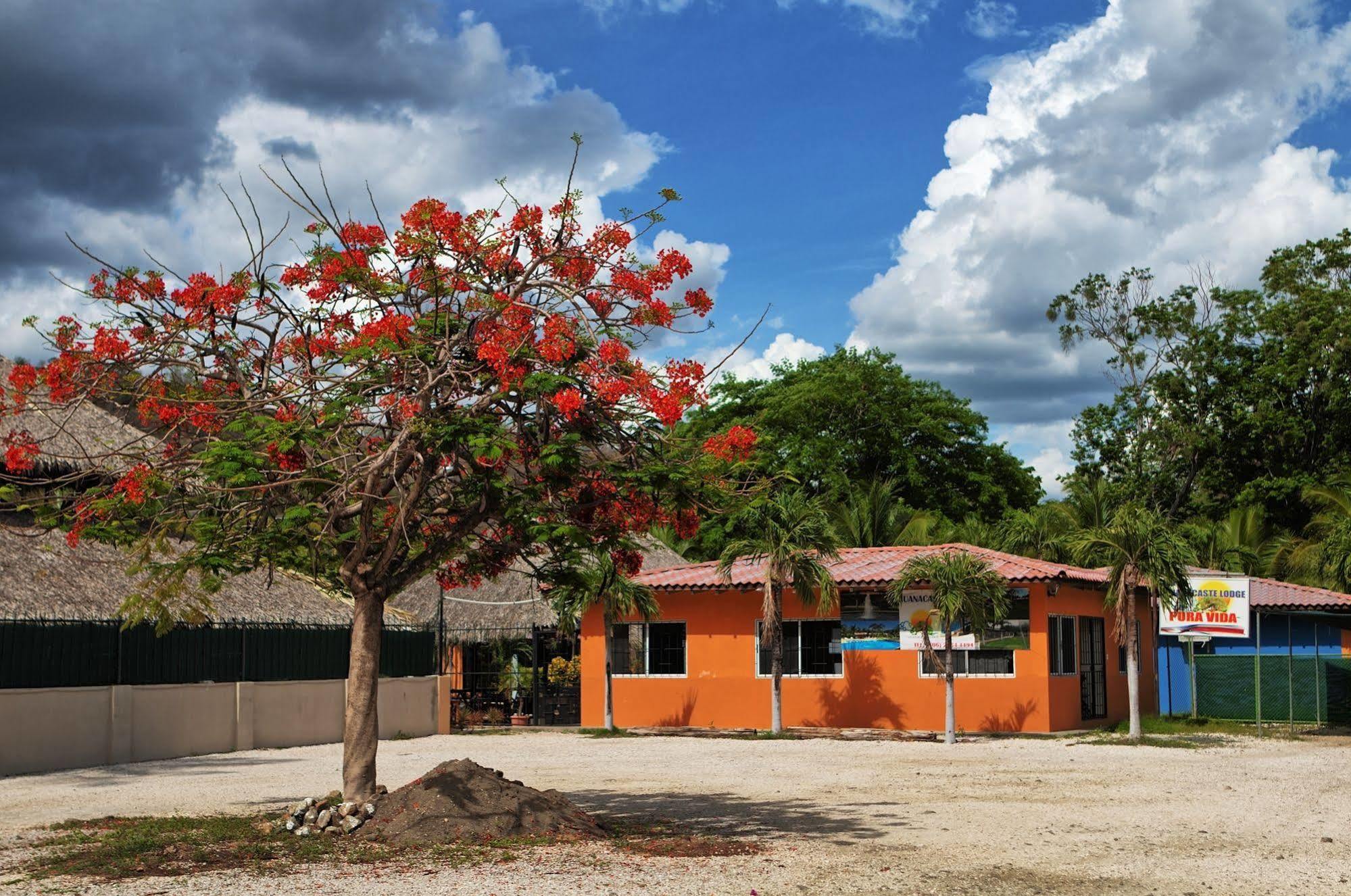 Hotel Guanacaste Lodge Playa Flamingo
