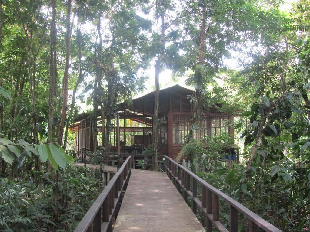 Rana Roja Hotel Tortuguero