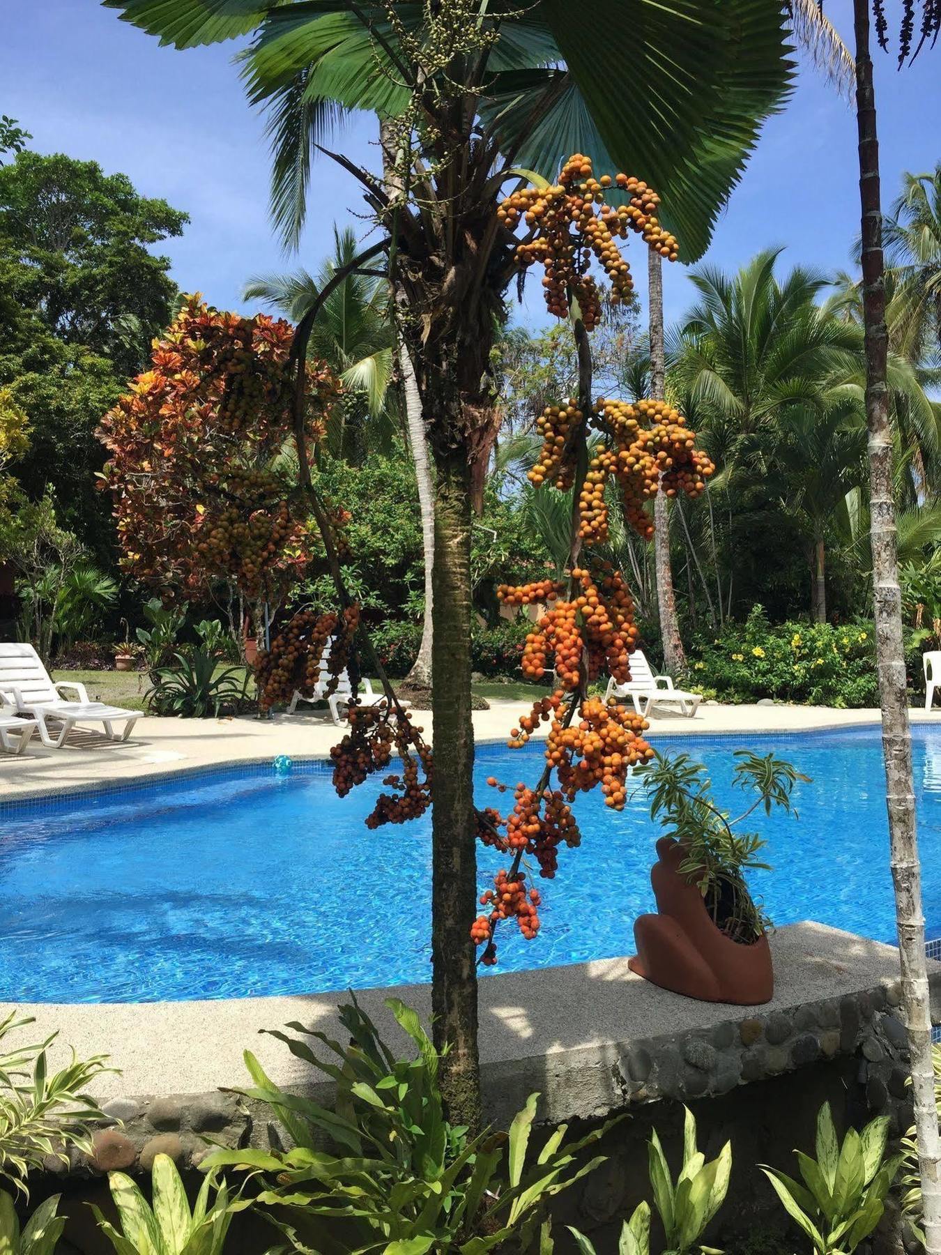 La Diosa Bed & Breakfast