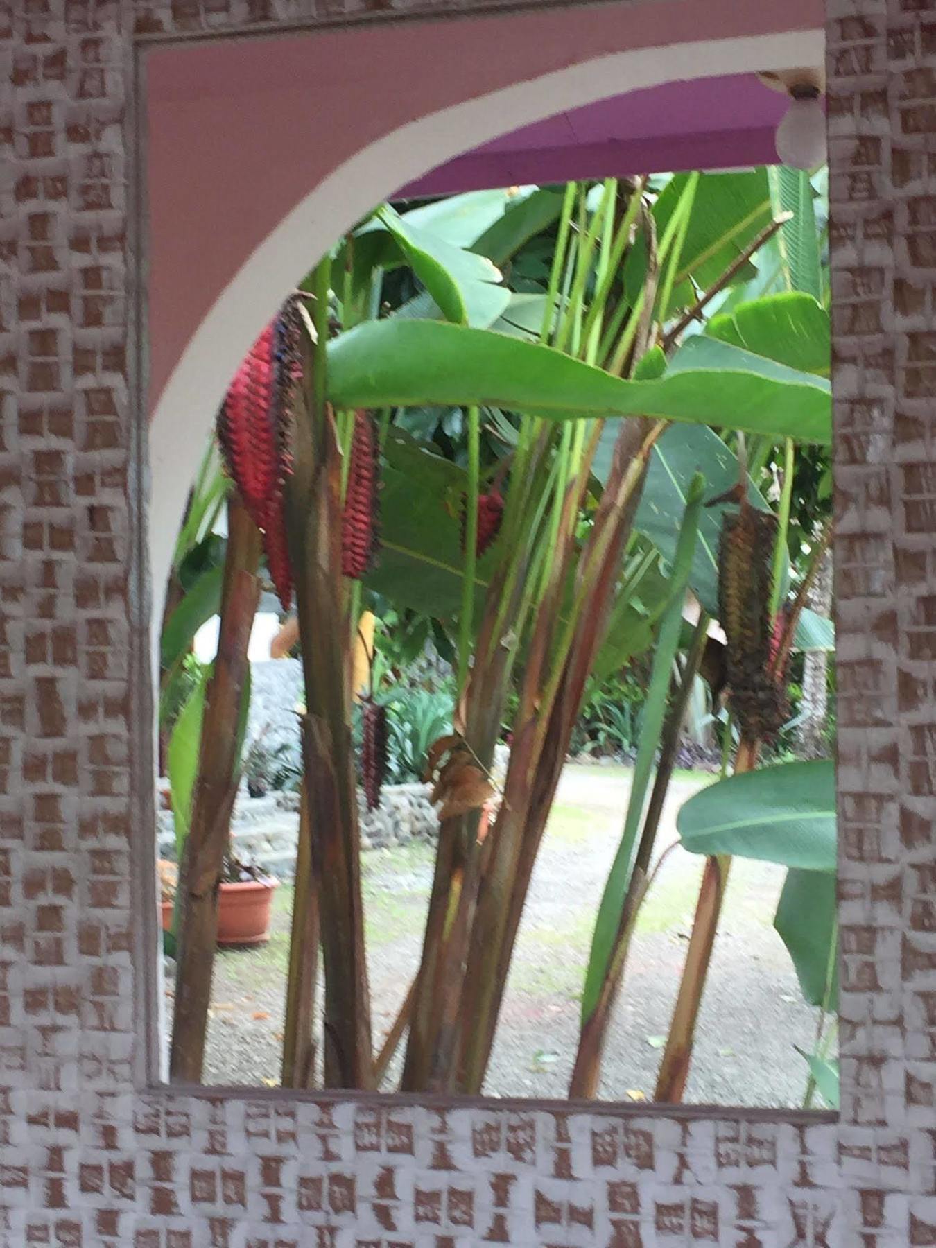 La Diosa Bed & Breakfast 4*