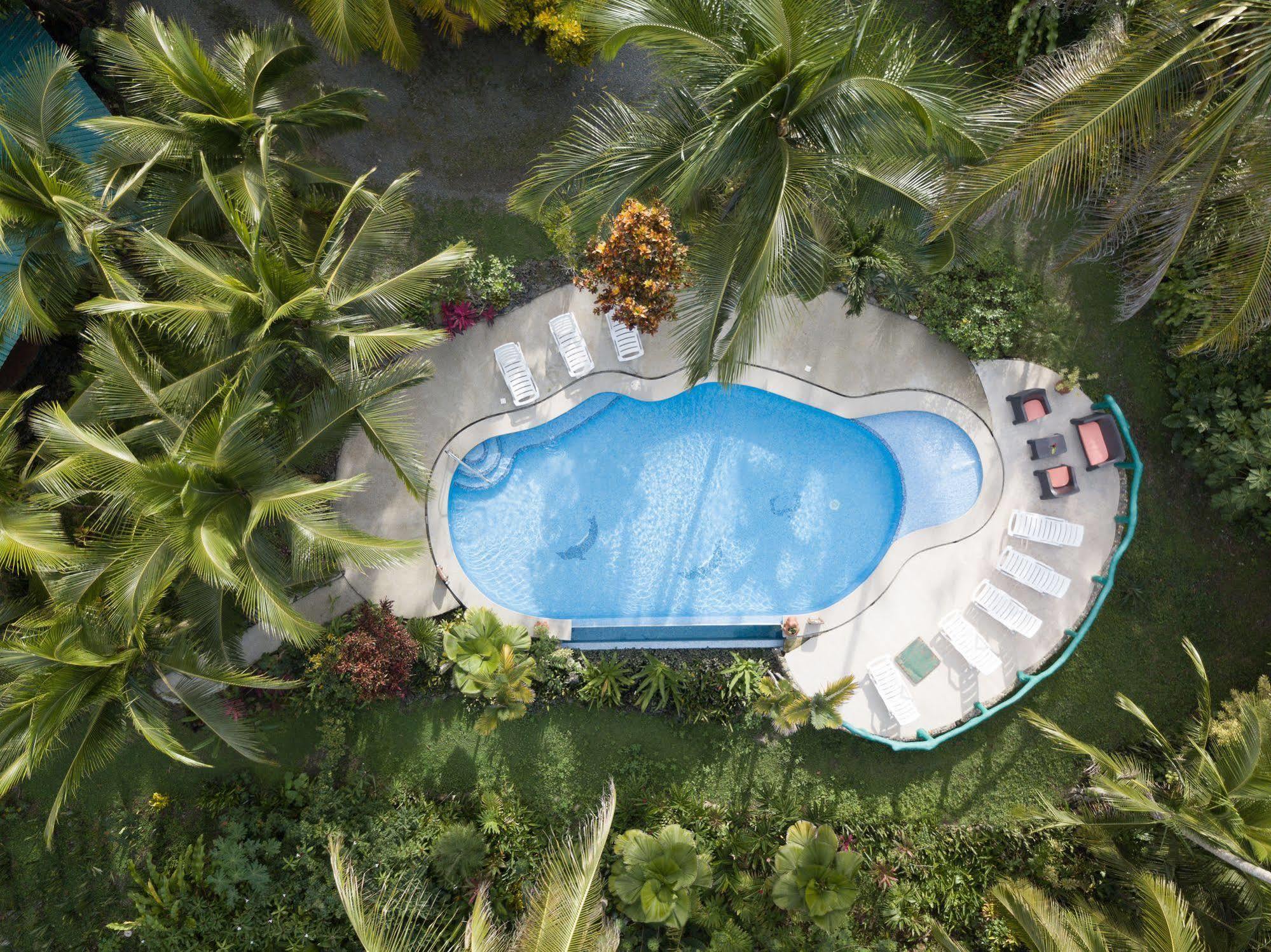 Bed & Breakfast La Diosa