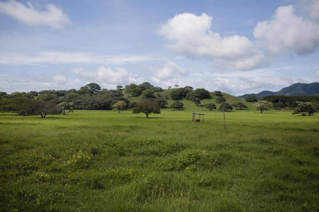Hacienda Jj Tamarindo