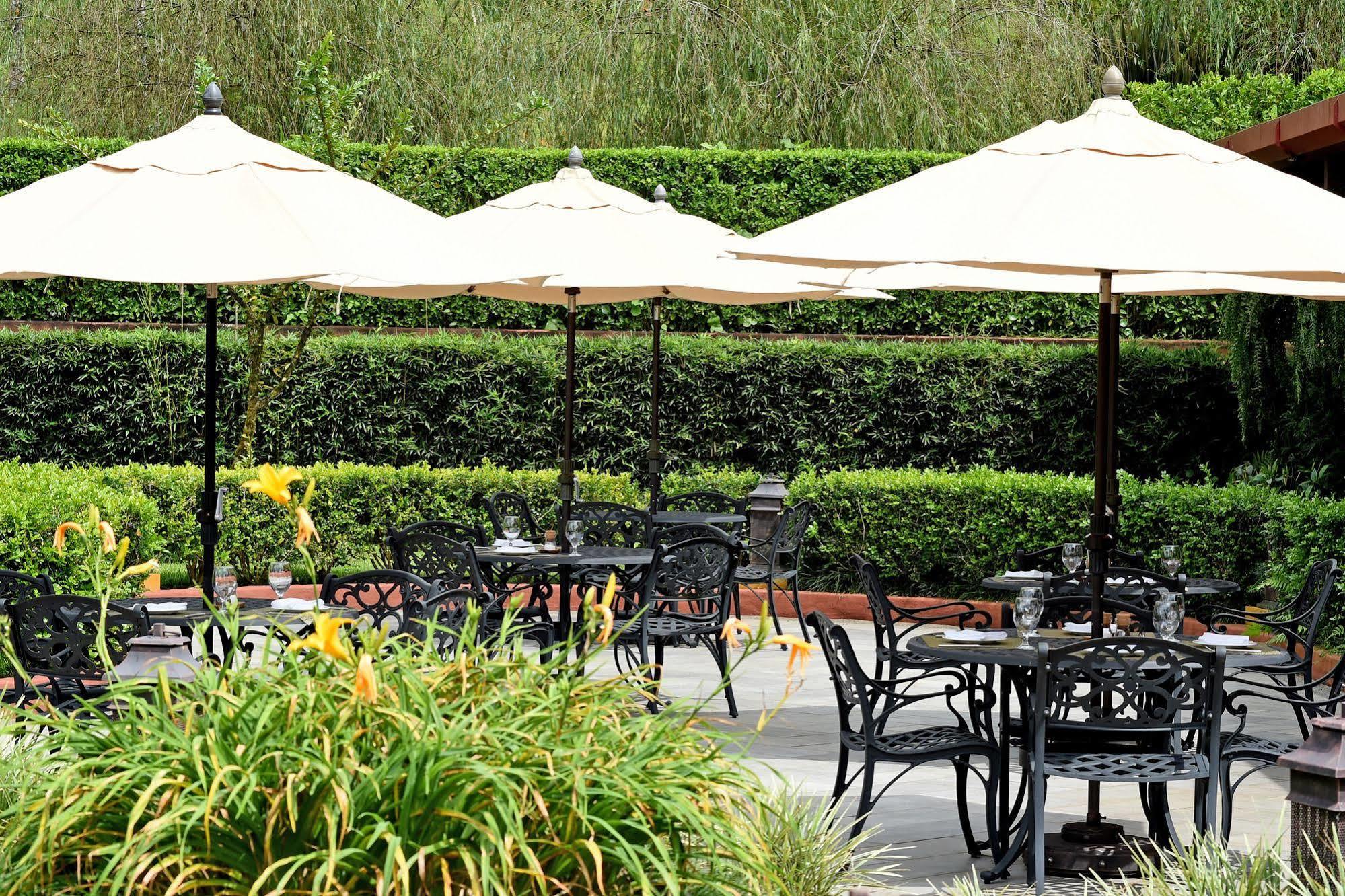 Resort Hacienda Altagracia, Collection 5*