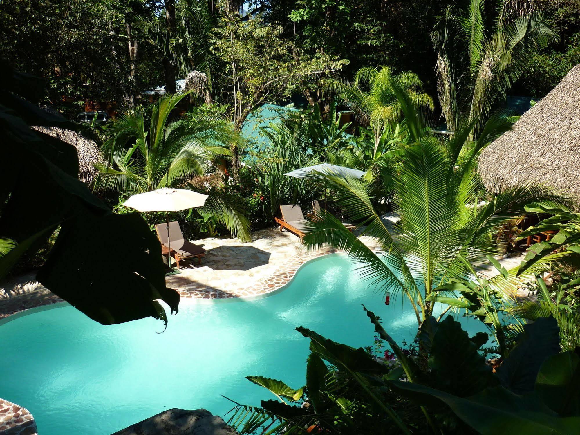 El Pequeno Gecko Hotel Samara