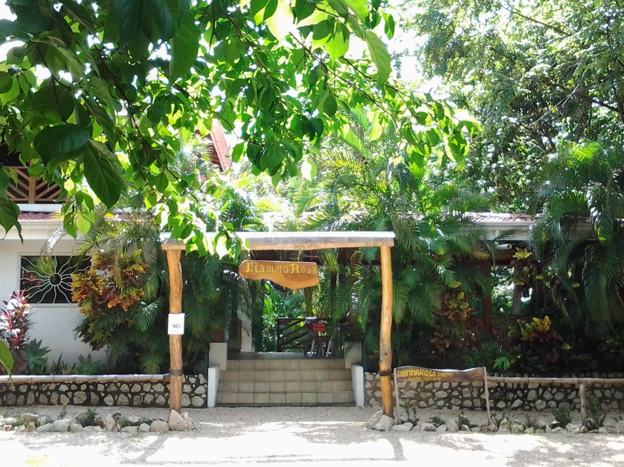 Mamma Rosa 3*