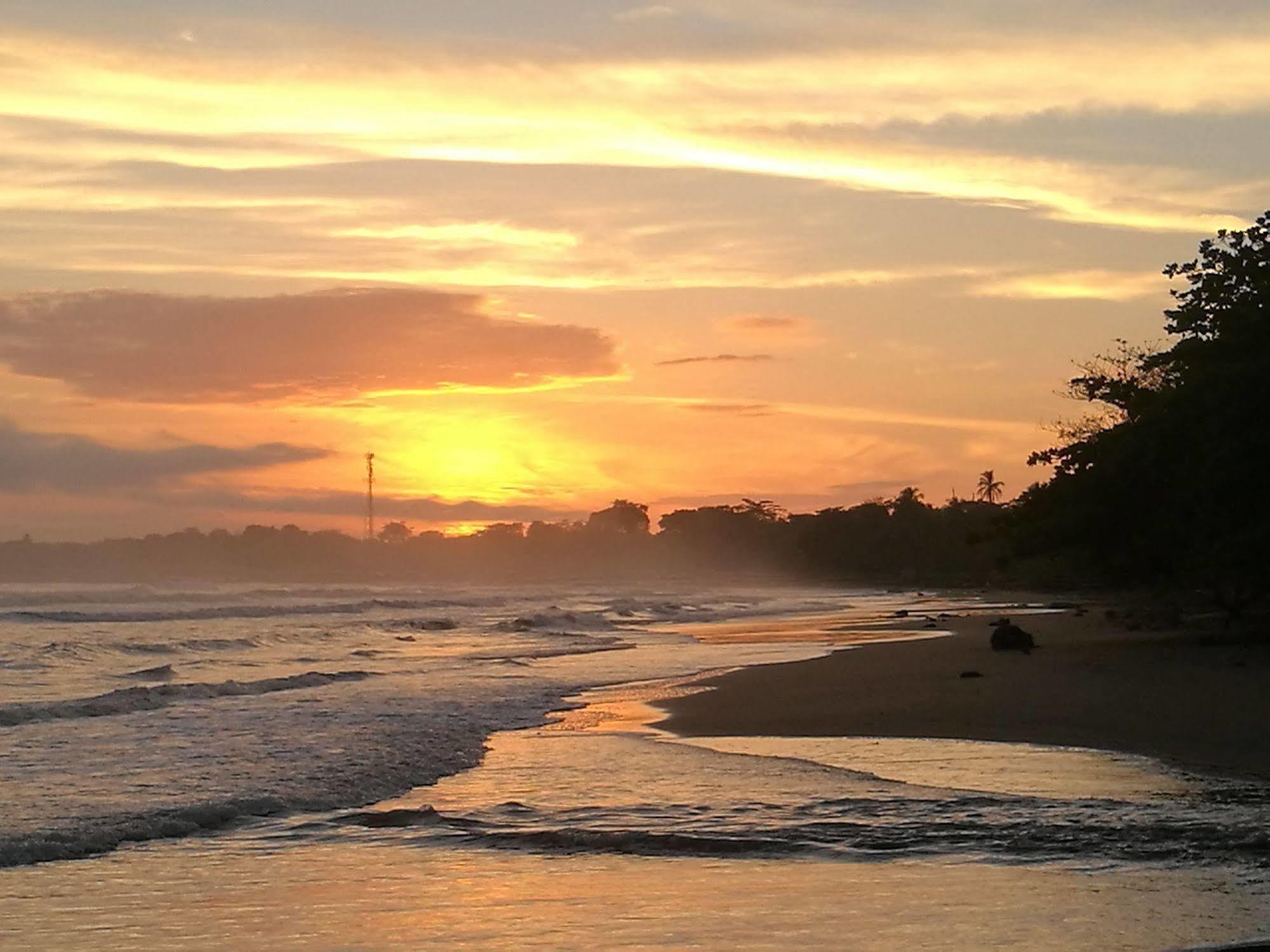 Cahuita Lodge Apartment *