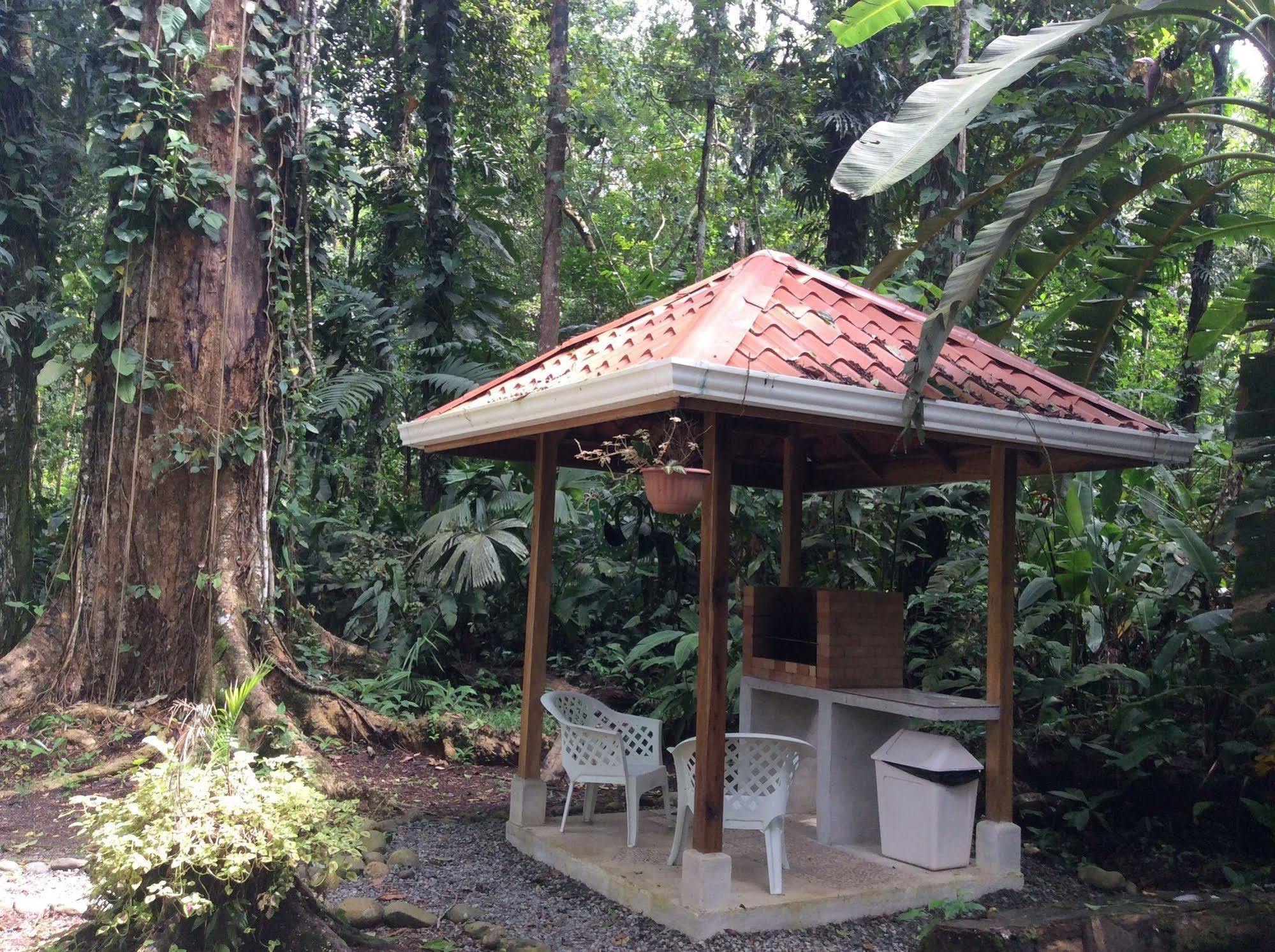 Pachamama Jungle River - Punta Uva 3* Puerto Viejo de Talamanca