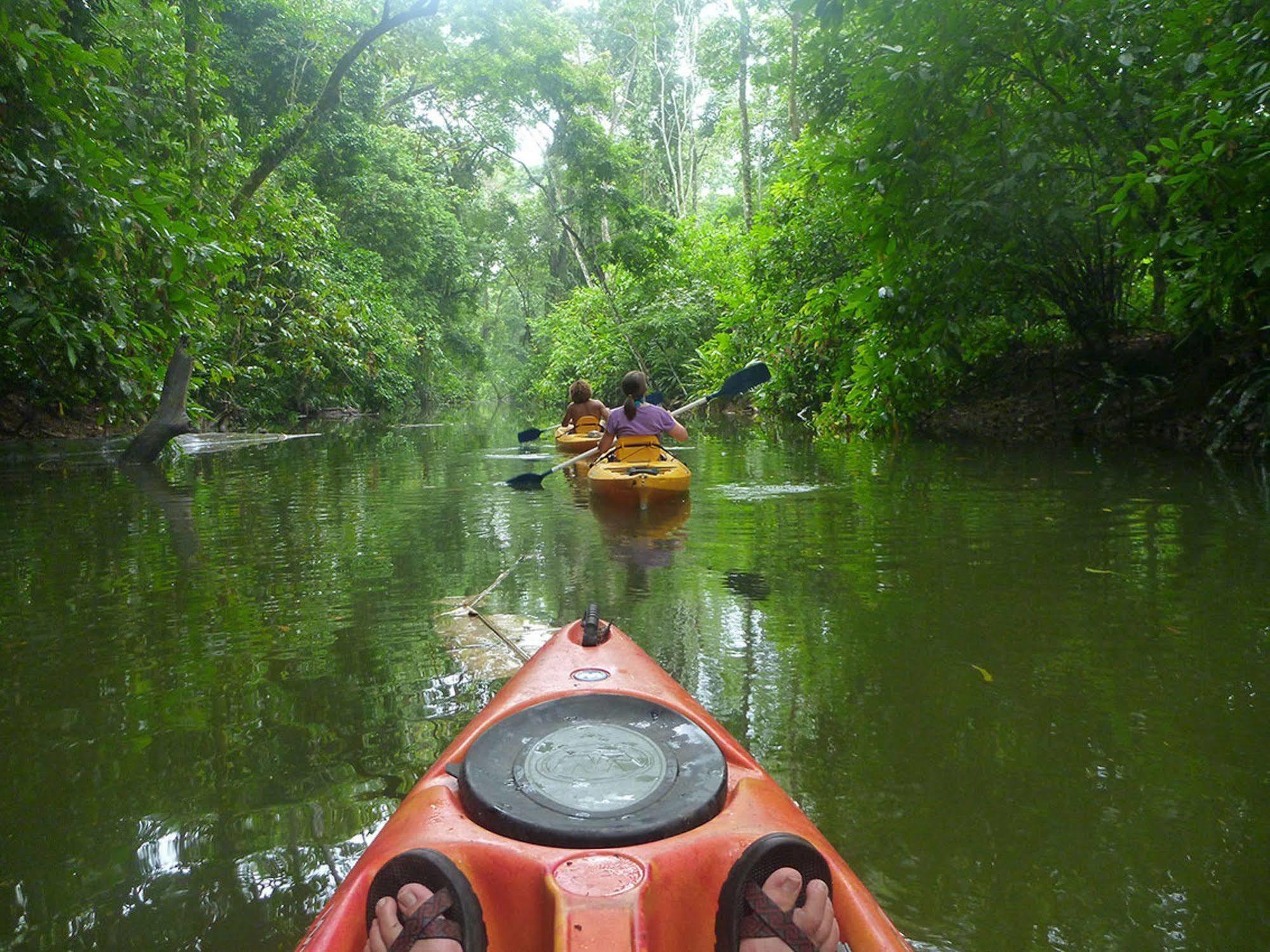 Pachamama Jungle River - Punta Uva Puerto Viejo de Talamanca