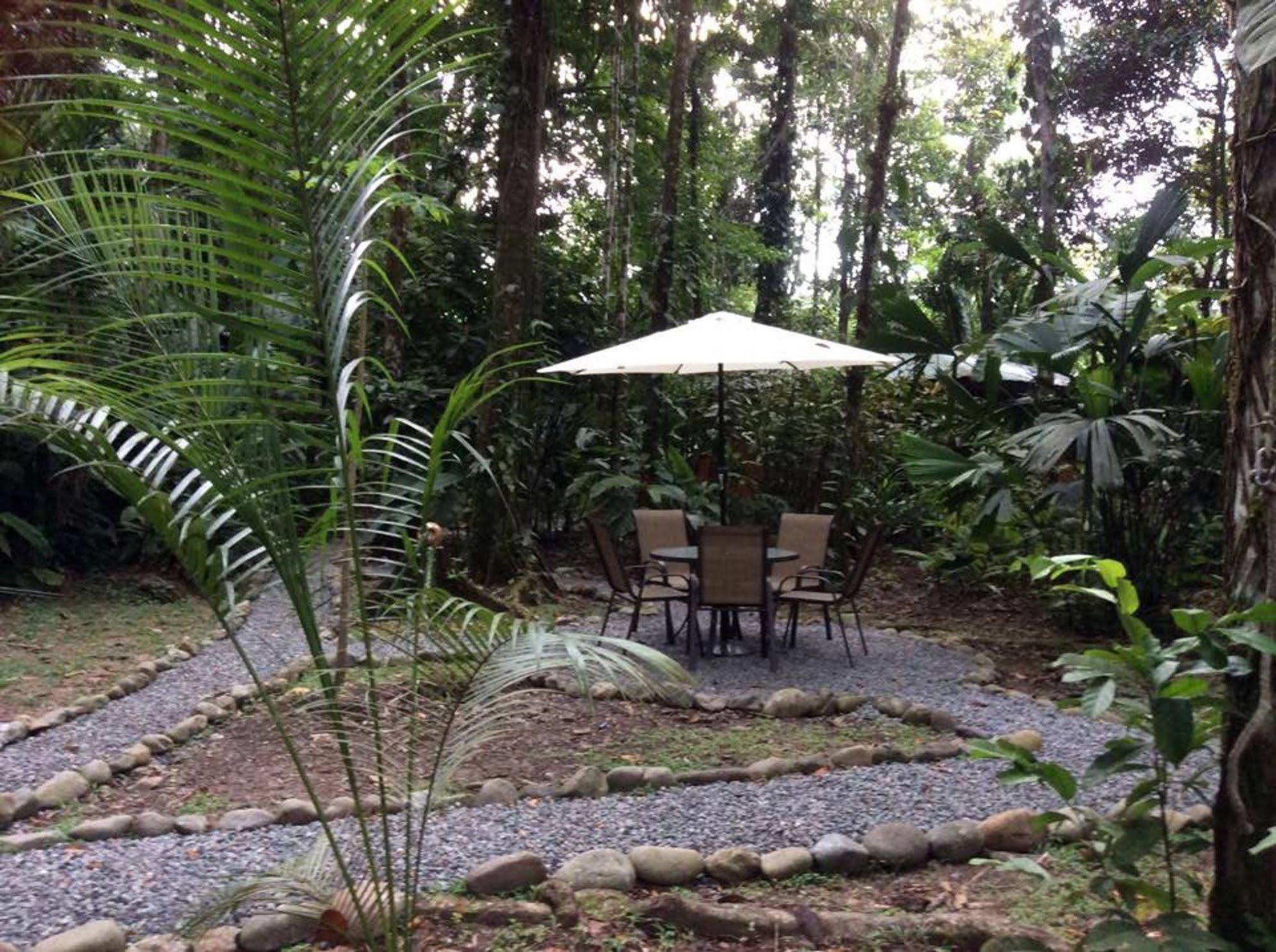 Guest house Pachamama Jungle River - Punta Uva