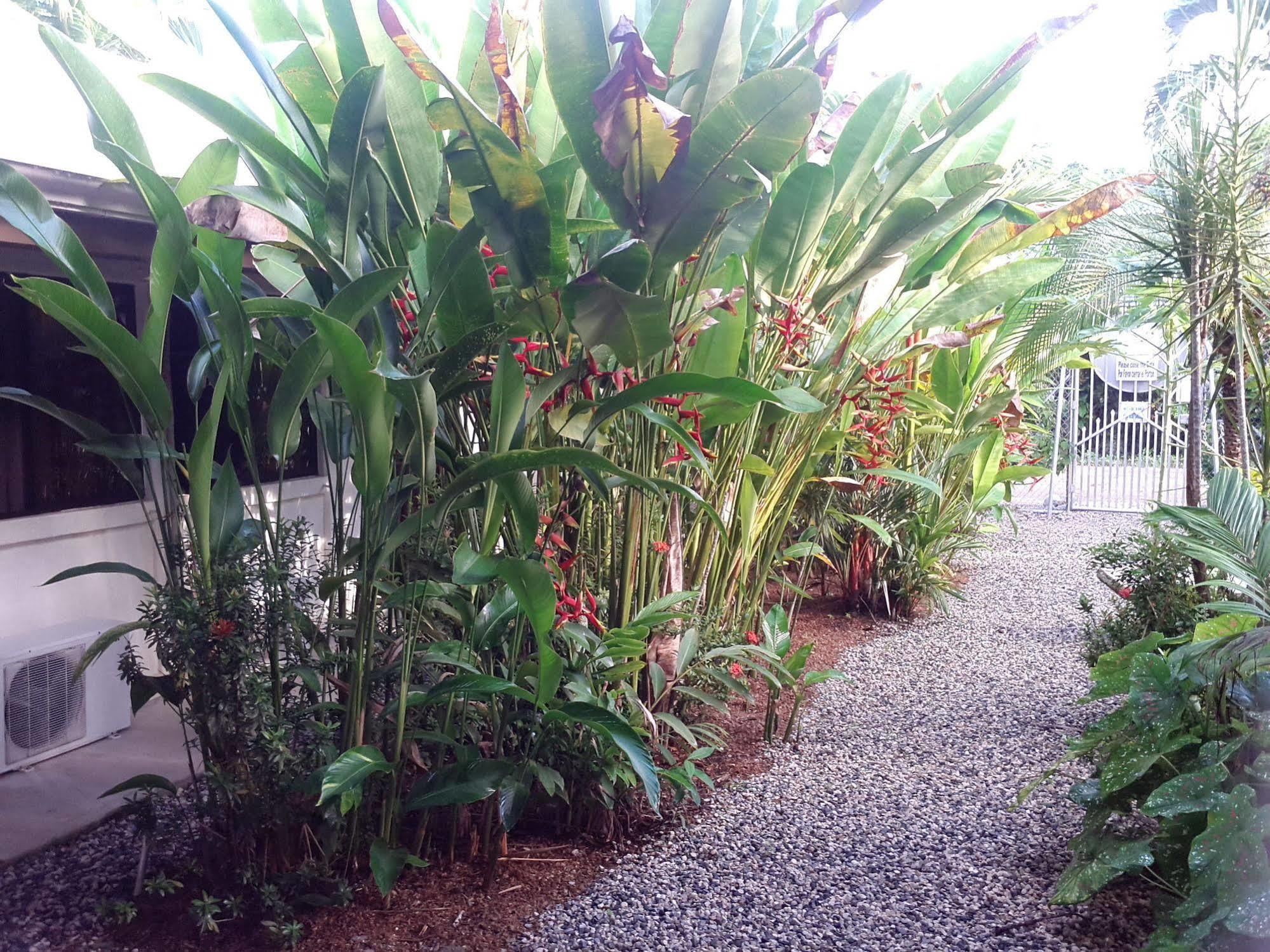 Cabinas Tropicales 3* Puerto Jimenez