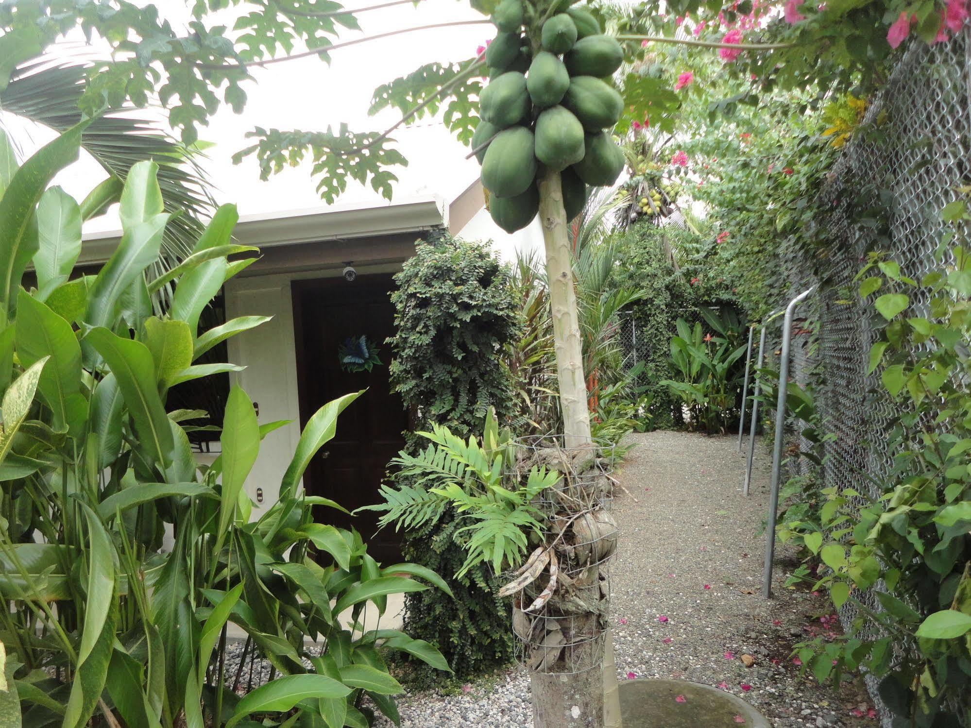 Cabinas Tropicales 3*