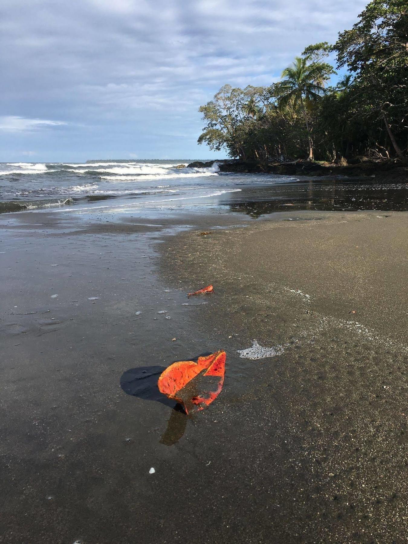 Magellan Boutique 3* Cahuita