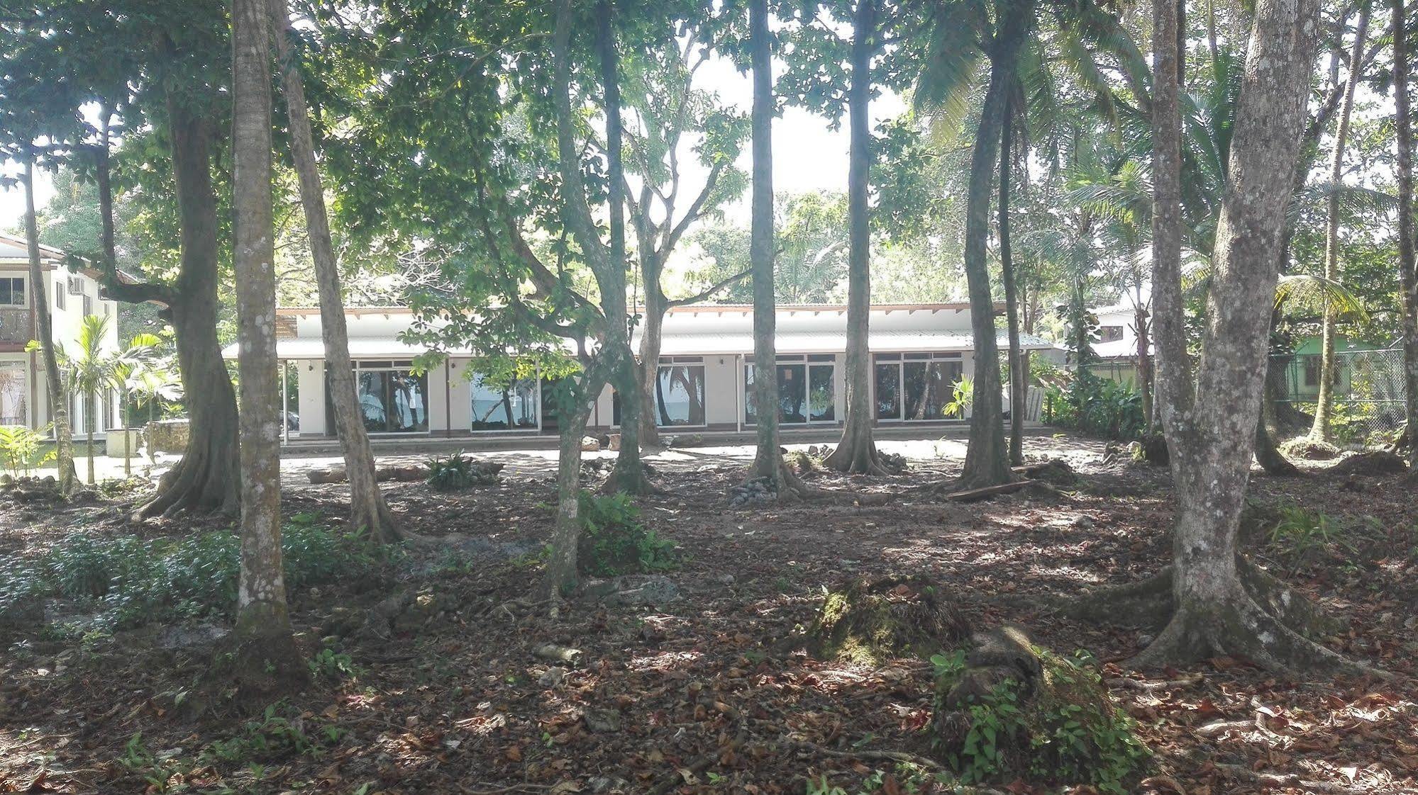 Guest house Cahuita Inn