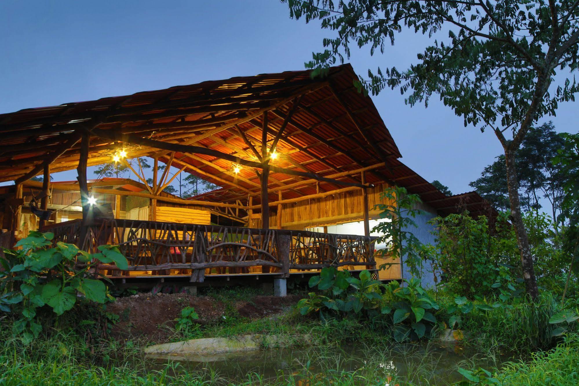 Lodge La Tigra Rainforest