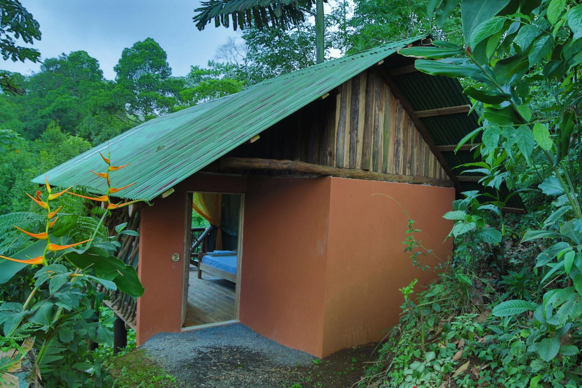 Lodge La Tigra Rainforest