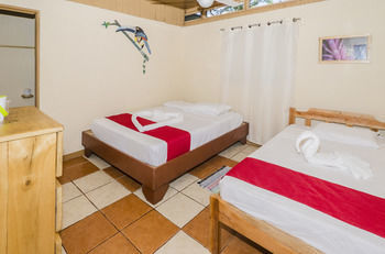 Hotel Blue Iguana
