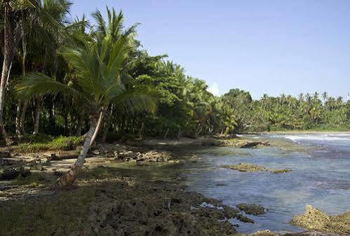Del Caribe 3*