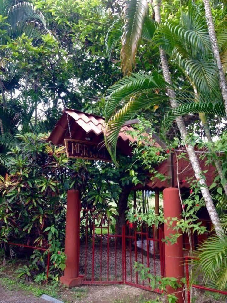 Blue Zone Retreat Nicoya